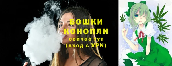 амф Бронницы