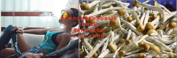 хмурый Бородино