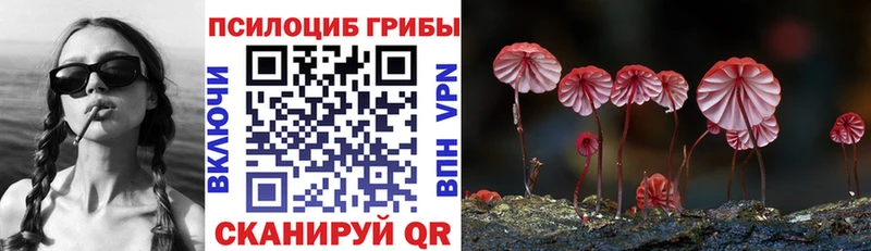 дарнет шоп  Трубчевск  kraken tor  Галлюциногенные грибы прущие грибы 